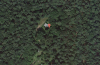 post-62319-0-70905700-1359562256_thumb.png