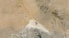 post-41082-0-11343900-1388864674_thumb.jpg