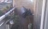 post-70089-0-06132300-1389445202_thumb.jpg