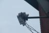 post-47830-0-81536300-1337516493_thumb.jpg
