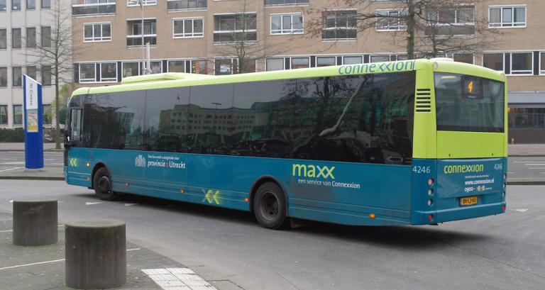 4246.jpg