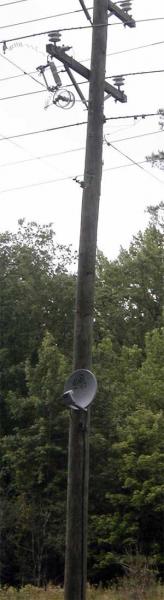 post-31470-0-06996300-1498494800_thumb.jpg