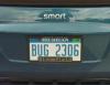 bug 2306.jpg