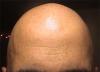 post-37533-0-92944200-1348687387_thumb.jpg