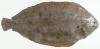 post-41082-0-32489400-1378851838_thumb.jpg