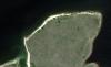 post-41082-0-87752100-1380135622_thumb.jpg