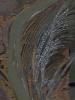 post-1101-1318260751,1474_thumb.jpg
