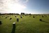 post-1101-1318261142,4338_thumb.jpg