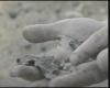 post-15930-1318258748,2068_thumb.jpg