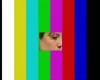 post-15930-1318262074,7255_thumb.jpg