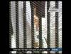 post-15930-1318262232,8564_thumb.jpg