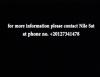 post-15930-1318262283,134_thumb.jpg