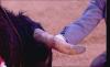 post-1673-1318260921,3842_thumb.jpg