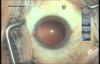 post-1673-1318260974,7305_thumb.jpg