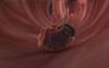 post-1673-1318261230,3942_thumb.jpg