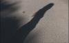 post-1673-1318261246,1182_thumb.jpg