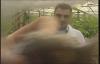 post-1673-1318261923,3618_thumb.jpg
