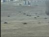 post-17833-1318258366,8756_thumb.jpg