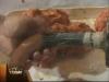 post-17833-1318258405,0088_thumb.jpg