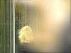 post-17833-1318258460,002_thumb.jpg