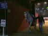 post-17833-1318258477,7847_thumb.jpg