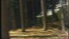 post-17833-1318259835,6283_thumb.jpg