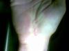 post-18497-1318259721,0817_thumb.jpg