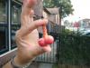 post-18797-1318258824,0056_thumb.jpg