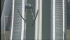 post-1978-1318259422,8726_thumb.jpg