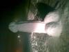 post-2208-1318260588,6373_thumb.jpg