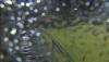 post-23046-1318260678,4984_thumb.jpg