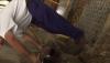 post-23046-1318261128,3714_thumb.jpg