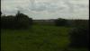 post-23046-1318261882,3998_thumb.jpg