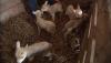 post-23046-1318261888,2889_thumb.jpg