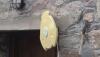 post-23046-1318262425,2391_thumb.jpg