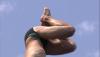 post-26072-1318262335,4314_thumb.jpg