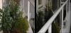 post-2664-1318257858,565_thumb.jpg