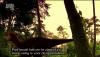 post-28050-1318260341,565_thumb.jpg