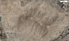 post-31333-1318261588,2407_thumb.png