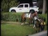 post-35211-1318261133,9229_thumb.jpg