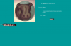 post-3611-1318260212,6165_thumb.png