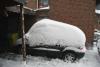 IMG_9460a_3_1.jpg