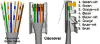 post-3840-1318257805,5465_thumb.gif