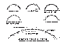 post-3840-1318257812,0605_thumb.gif