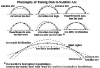 post-386-1318258262,9976_thumb.gif