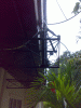 post-464-1318259894,0311_thumb.gif