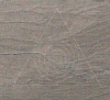 post-51835-1318260810,7855_thumb.gif