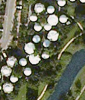 post-55432-1318261707,8681_thumb.png
