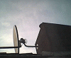 post-6317-1318258037,8493_thumb.gif