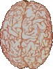 post-726-1318257814,4545_thumb.gif